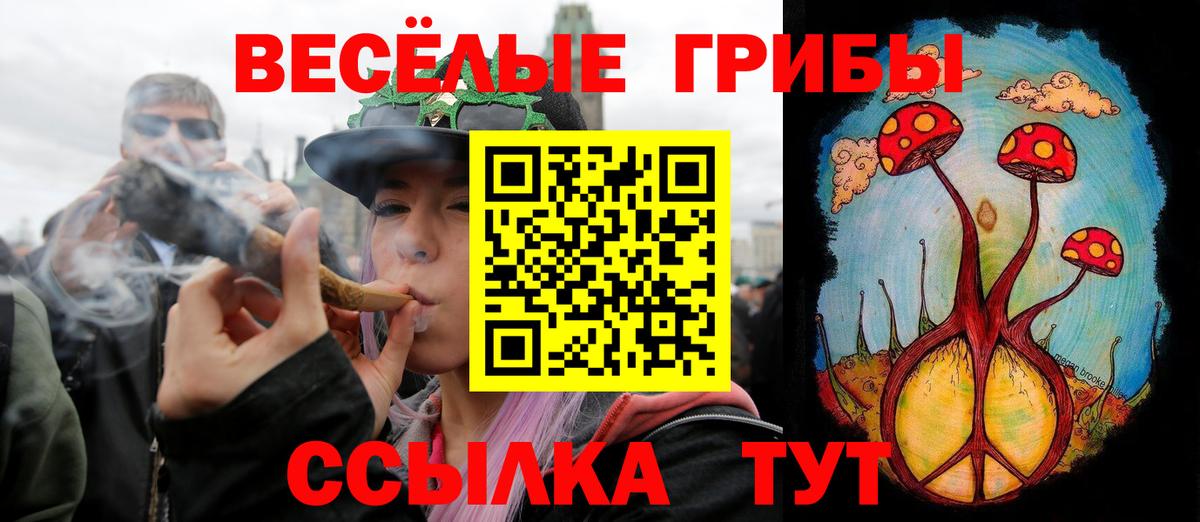 Галлюциногенные грибы мицелий  Псилоцибиновые грибы GOLDEN TEACHER  Ирбит  Вход с VPN 